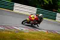 cadwell-no-limits-trackday;cadwell-park;cadwell-park-photographs;cadwell-trackday-photographs;enduro-digital-images;event-digital-images;eventdigitalimages;no-limits-trackdays;peter-wileman-photography;racing-digital-images;trackday-digital-images;trackday-photos